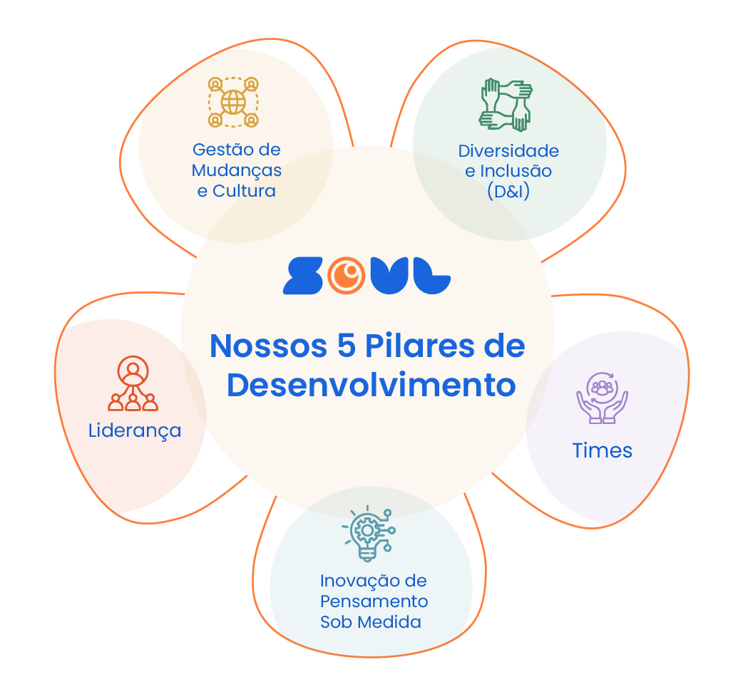 Esquema visual em forma de flor com os 5 pilares do desenvolvimento Soul